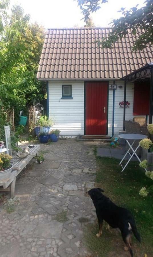 Das Kleine Ferienhaus Berlin Eksteriør bilde